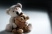 Domestic Violence[2]