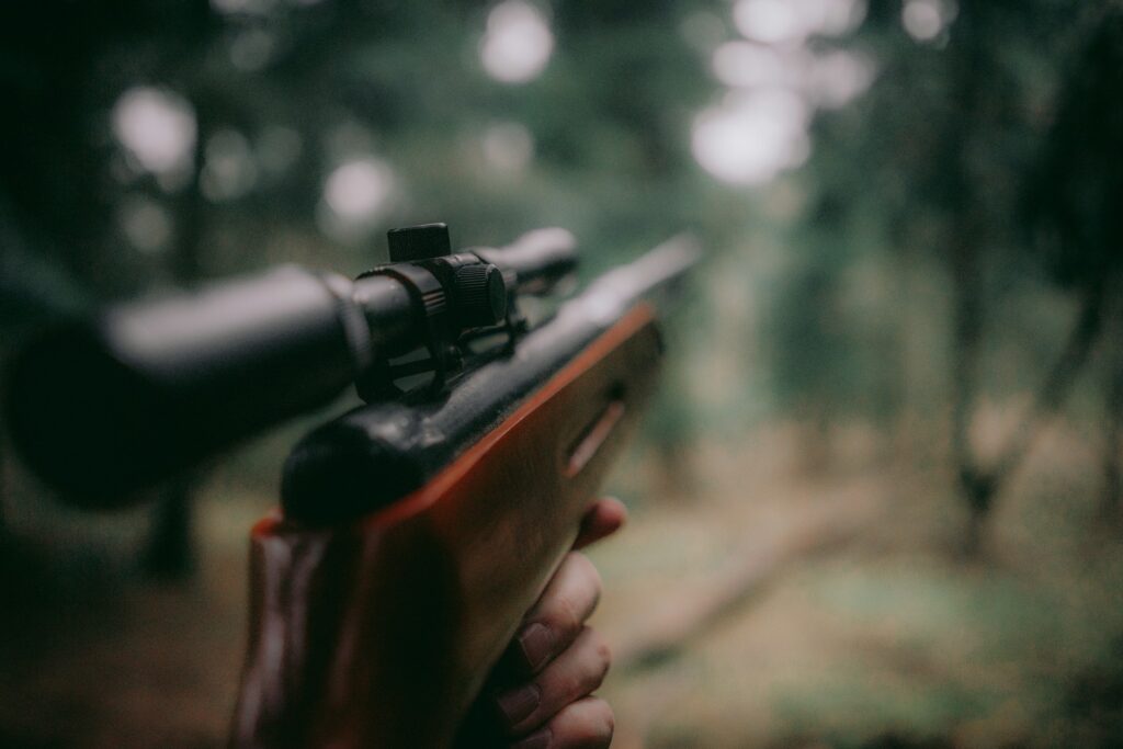sebastian-pociecha-z40srU0ugCk-unsplash A hunting gun in the field