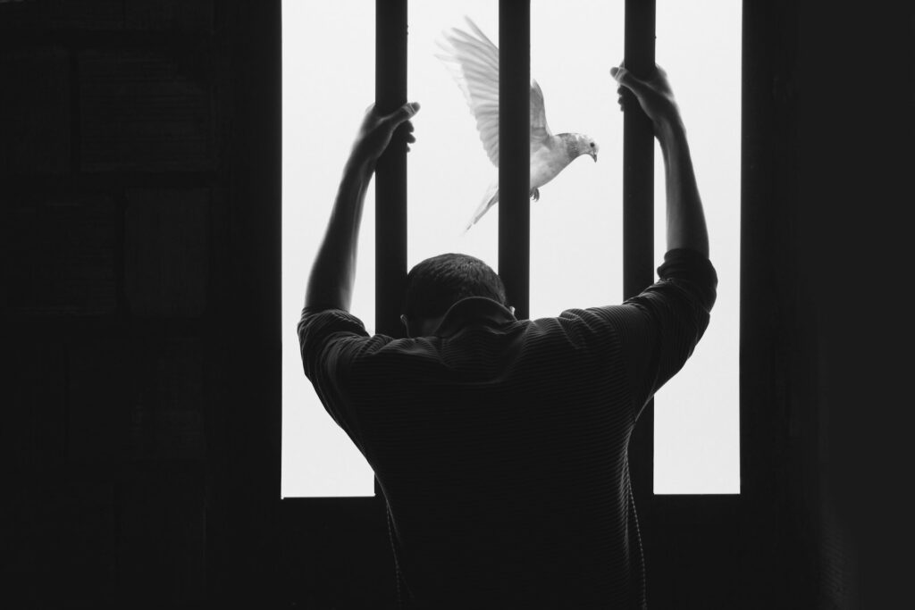 hasan-almasi-aIRBGPafi74-unsplash back of a man in jail, dove flies outside