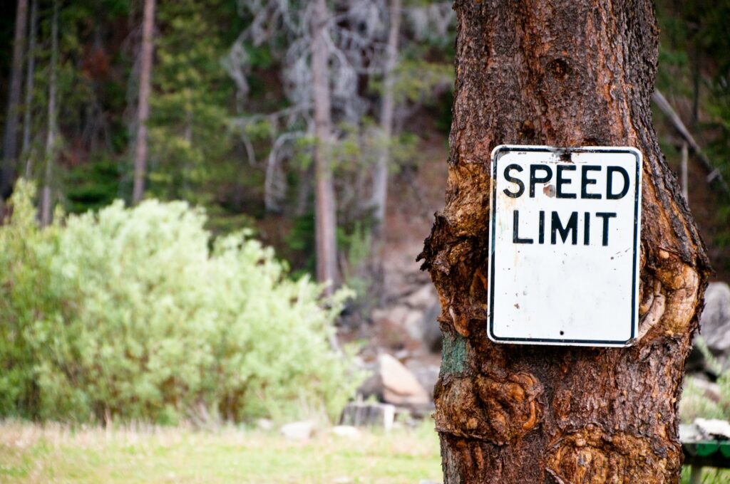a speed limit sign on a tree