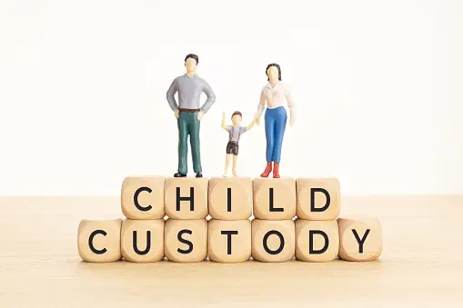 Understanding Child Custody: Factors and Trends