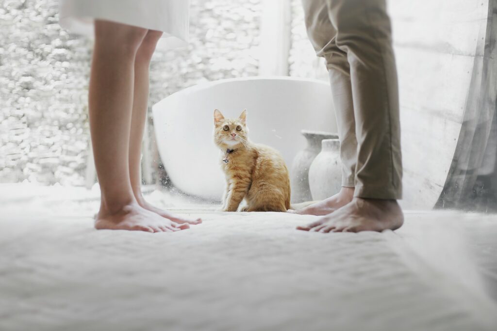 hutomo-abrianto-p5CFpOiYweU-unsplash (1) A cat in the middle of a man and a woman's legs