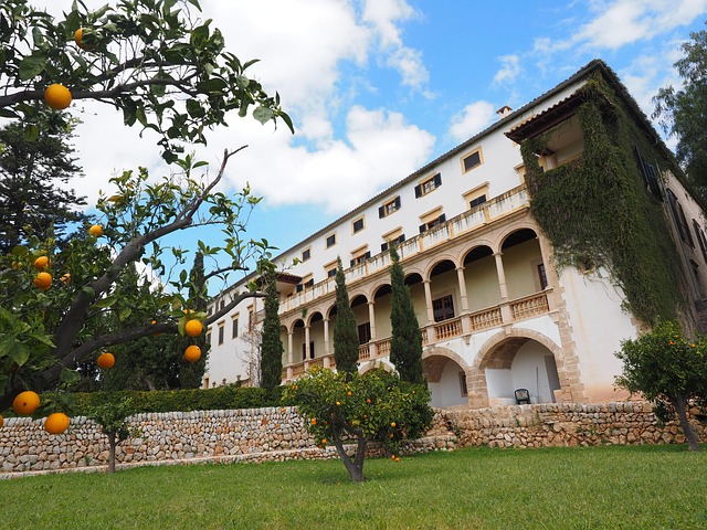 A huge house with an orange tree in front
