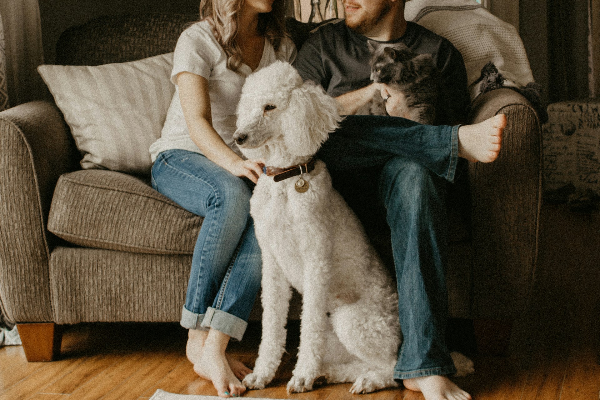 a couple sitting on the couch with their pets