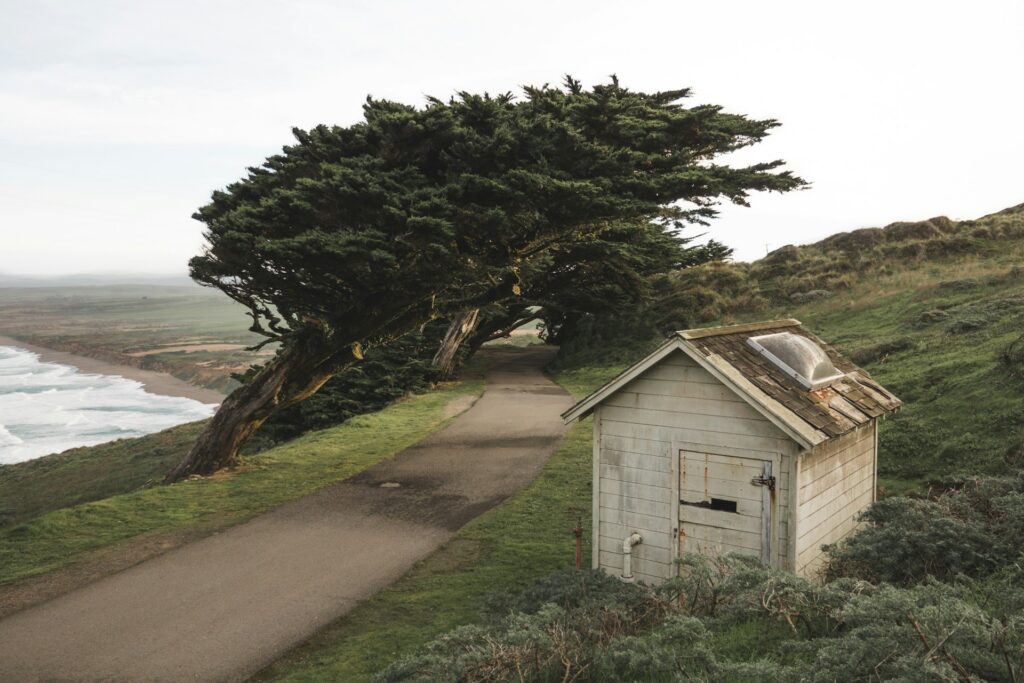 mark-basarab-xNMC9X7Pns0-unsplash tiny house in a remote area