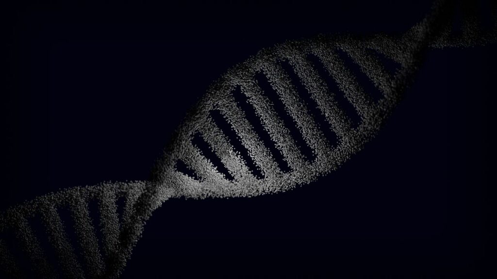 DNA helix